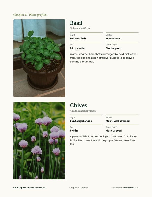 Page: basil and chives plant profiles