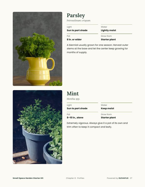 Page: parsley and mint plant profiles
