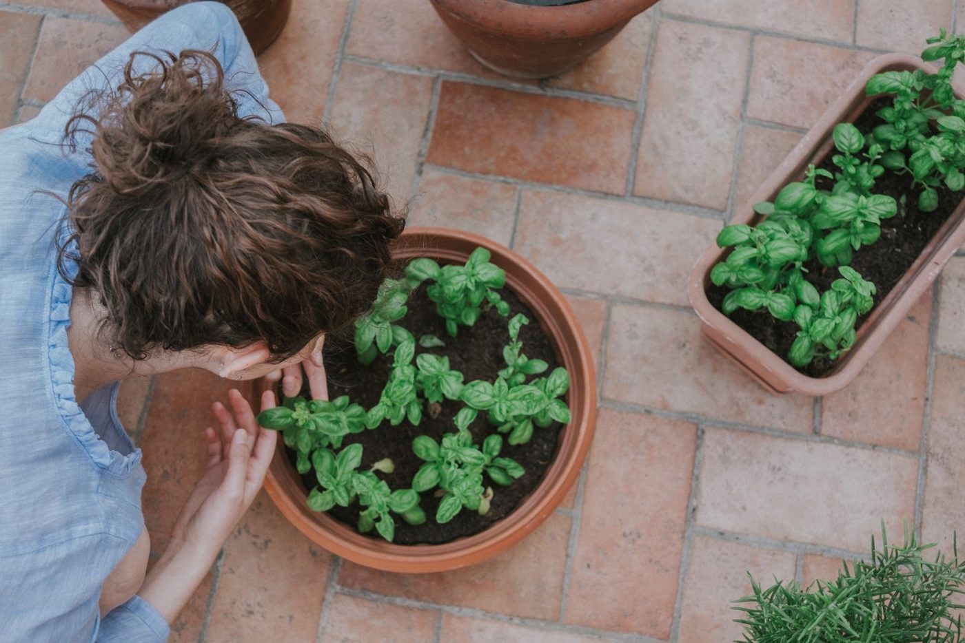 A woman smelling fresh basil growing in pots on her patio