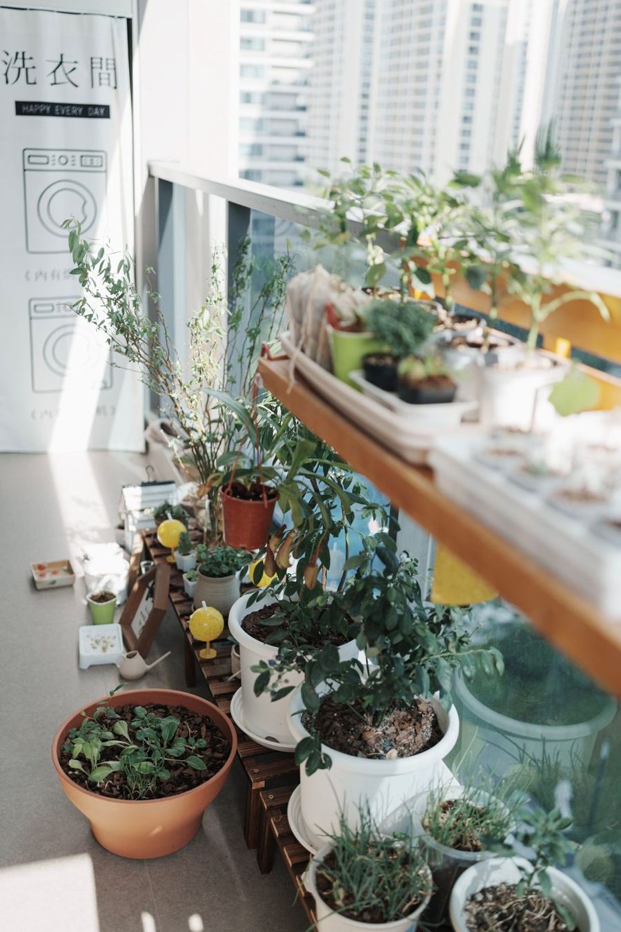A small apartment balcony with potted plants