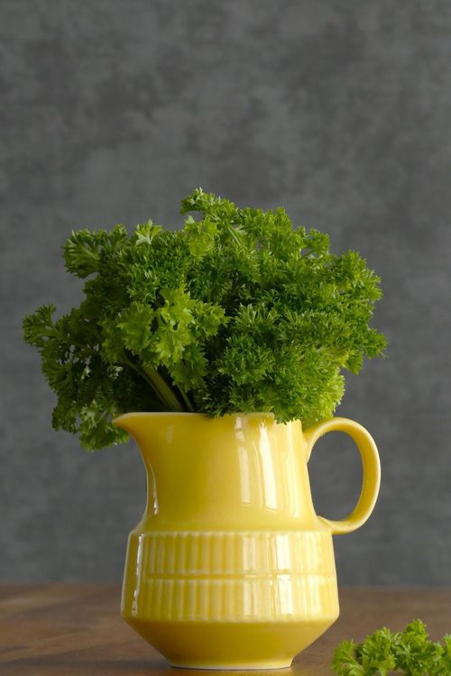 Parsley
